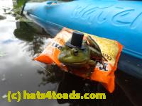 /home//u458753944/public_html/sourcegallery//////Frogs/Bullfrogs 2016-08 Ontario/P8140144.JPG